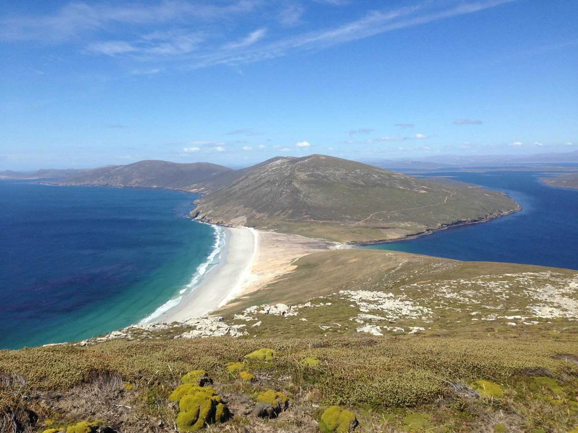 imgi_155_saunders-island